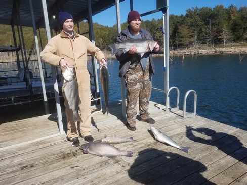 Nice Striped Bass