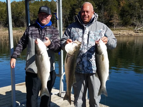 Nice Striped Bass