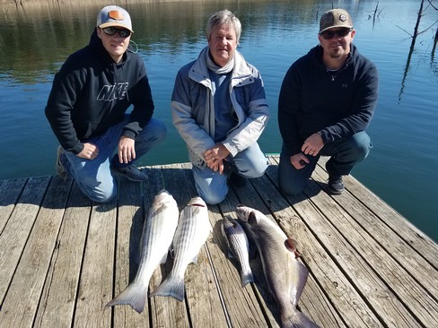 Nice Striped Bass