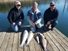 (11/05/2021) - Nice Striped Bass