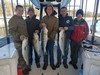 (12/08/2021) - Nice Striped Bass
