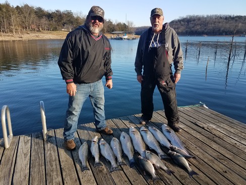 Nice Striped Bass