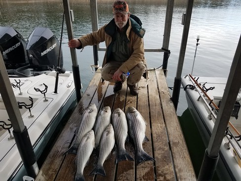 Nice Striped Bass