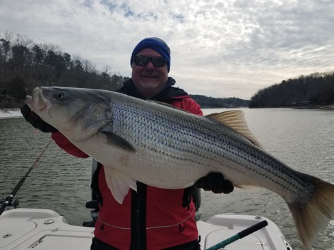 Nice Striped Bass