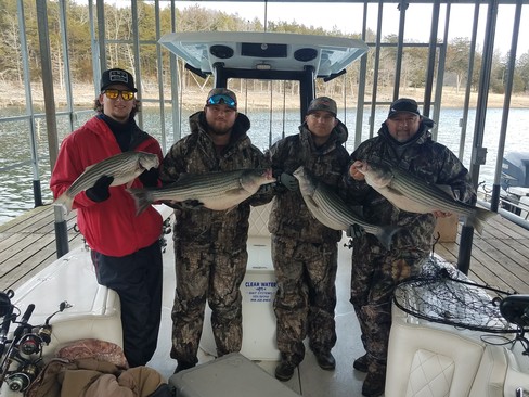Nice Striped Bass