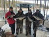 (03/05/2022) - Nice Striped Bass