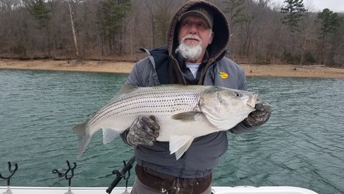 Nice Striped Bass