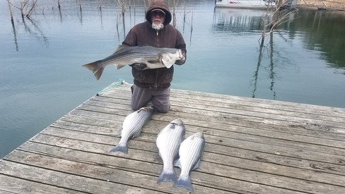Nice Striped Bass