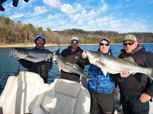 Nice Striped Bass