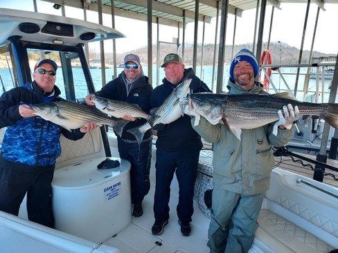 Nice Striped Bass