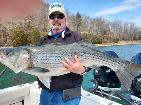 Nice Striped Bass