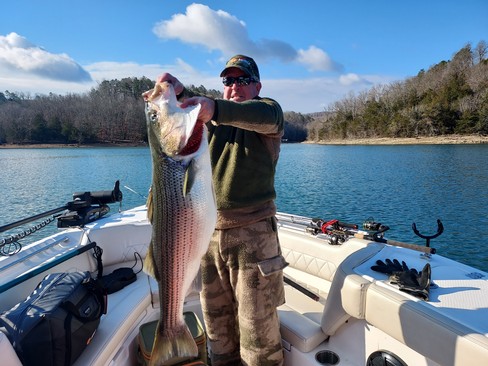 Nice Striped Bass