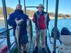 (04/05/2022) - Nice Striped Bass
