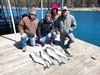 (04/09/2022) - Nice Striped Bass