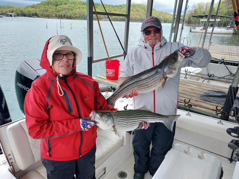 Nice Striped Bass