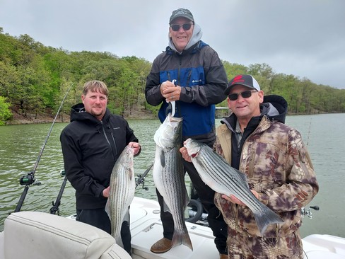 Nice Striped Bass