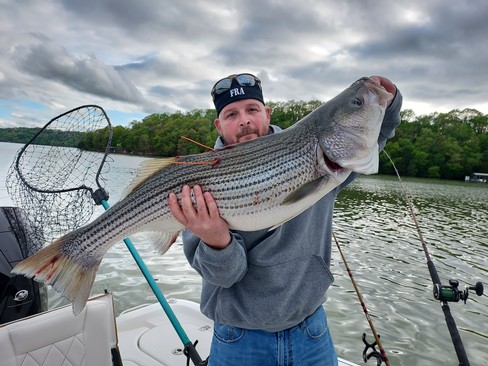 Nice Striped Bass