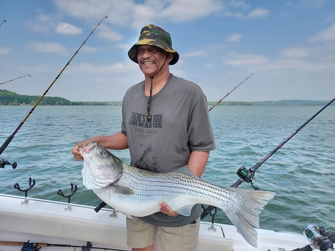 Nice Striped Bass