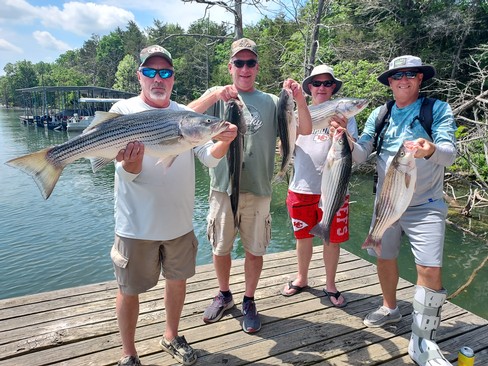 Nice Striped Bass