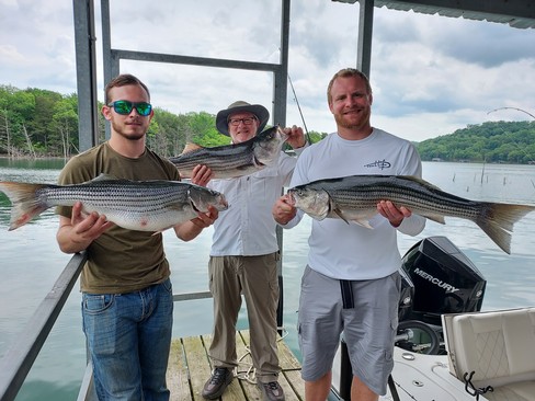 Nice Striped Bass
