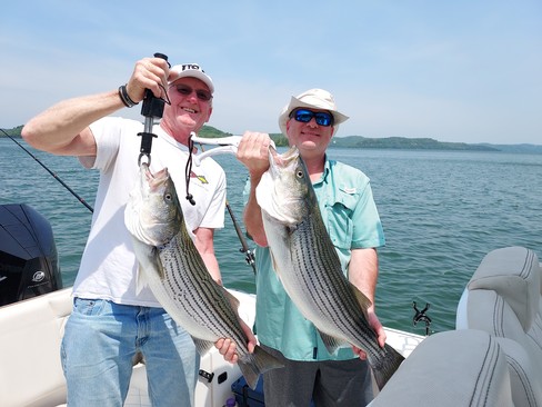 Nice Striped Bass
