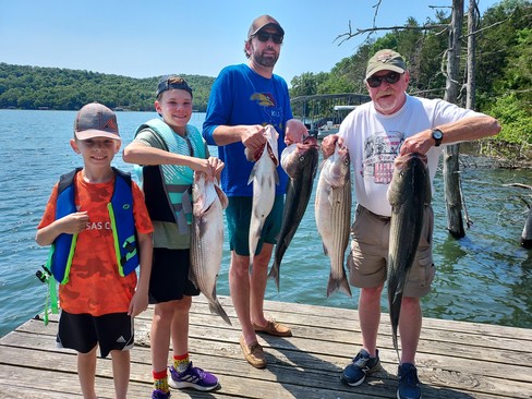 Nice Striped Bass