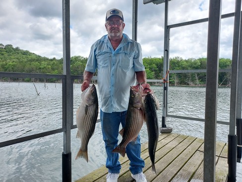 Nice Striped Bass