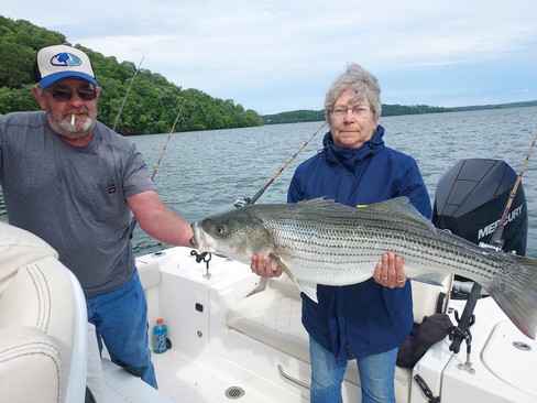 Nice Striped Bass