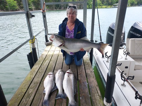 Nice Striped Bass