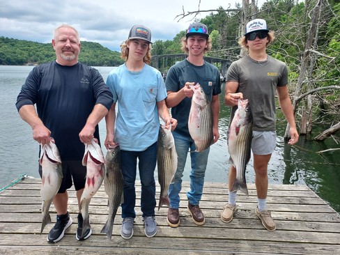 Nice Striped Bass