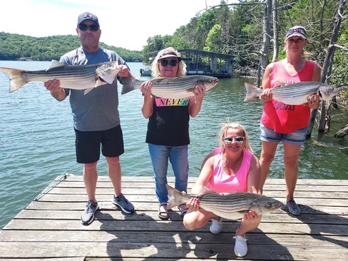 Nice Striped Bass
