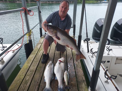 Nice Striped Bass