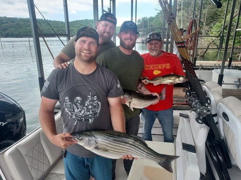 Nice Striped Bass