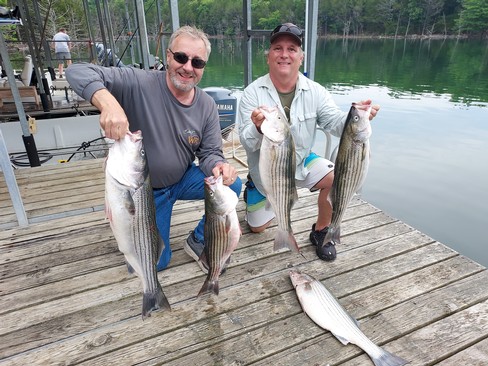 Nice Striped Bass