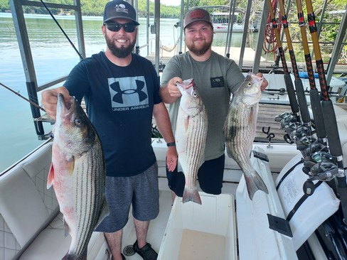 Nice Striped Bass