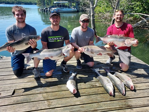 Nice Striped Bass