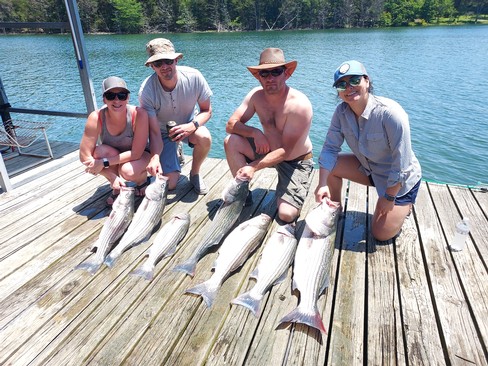 Nice Striped Bass