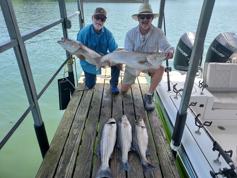 Nice Striped Bass