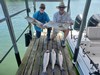 (06/14/2022) - Nice Striped Bass