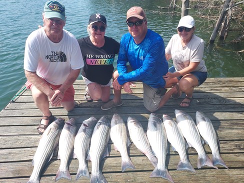 Nice Striped Bass