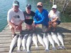 (06/18/2022) - Nice Striped Bass