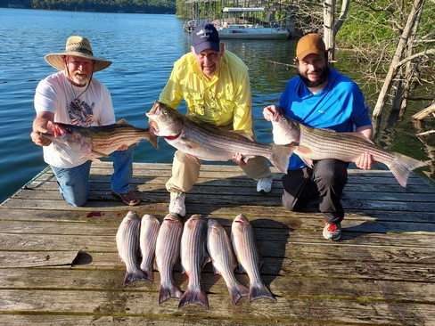 Nice Striped Bass