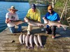 (06/19/2022) - Nice Striped Bass