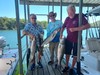 (06/20/2022) - Nice Striped Bass