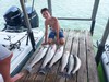 (06/24/2022) - Nice Striped Bass