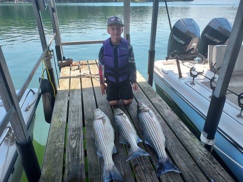 Nice Striped Bass