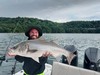 (06/28/2022) - Nice Striped Bass