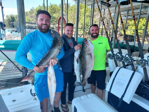 Nice Striped Bass