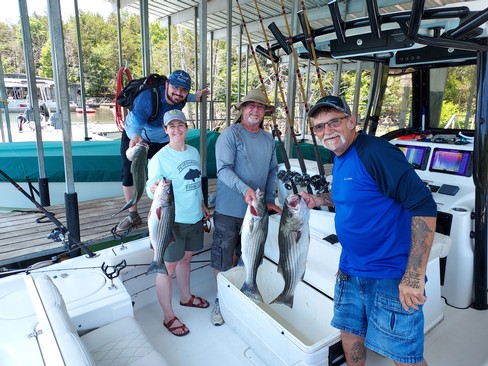 Nice Striped Bass
