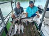 (07/07/2022) - Nice Striped Bass
